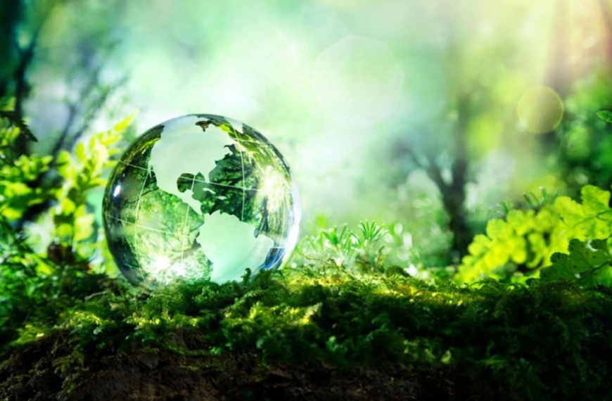 Benefits of Green Technology in the Workplace