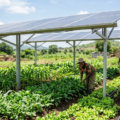 Planning Community Projects for Both Energy Access and Resource Efficiency