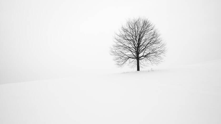 Water treatment plant with clear settling tanks and blue water.