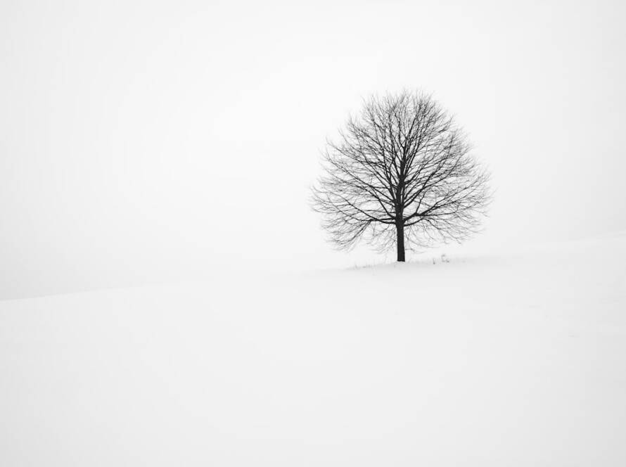 Water treatment plant with clear settling tanks and blue water.